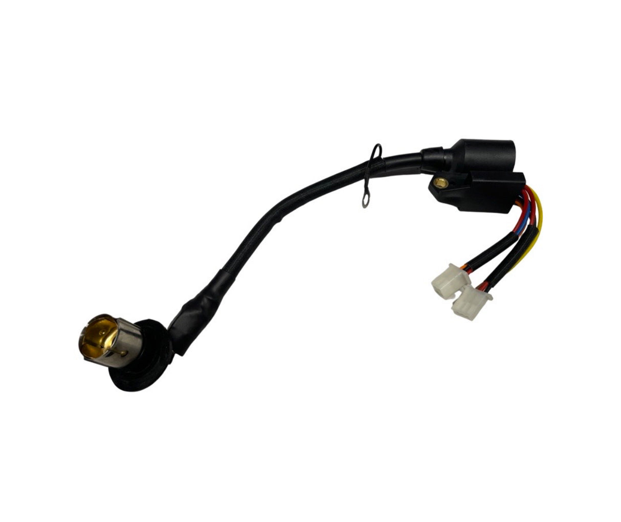 1234137 - Ignition Coil Assembly - P1PE P2500i Inverter Generator