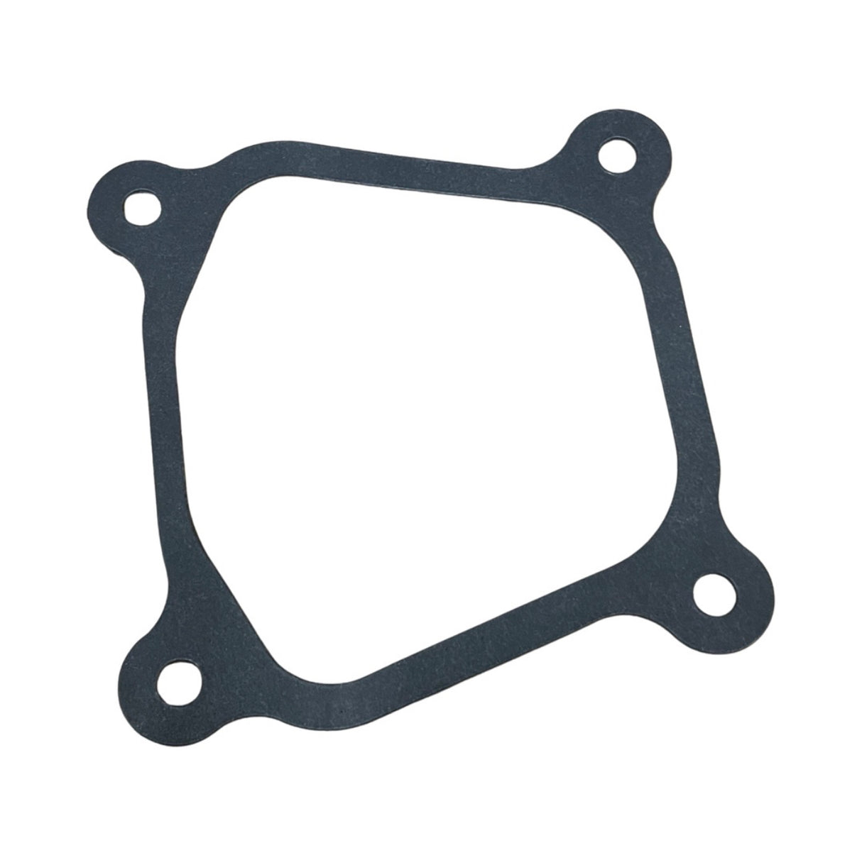 1235139 - Rocker Cover Gasket - P1PE P4000i Inverter Generator