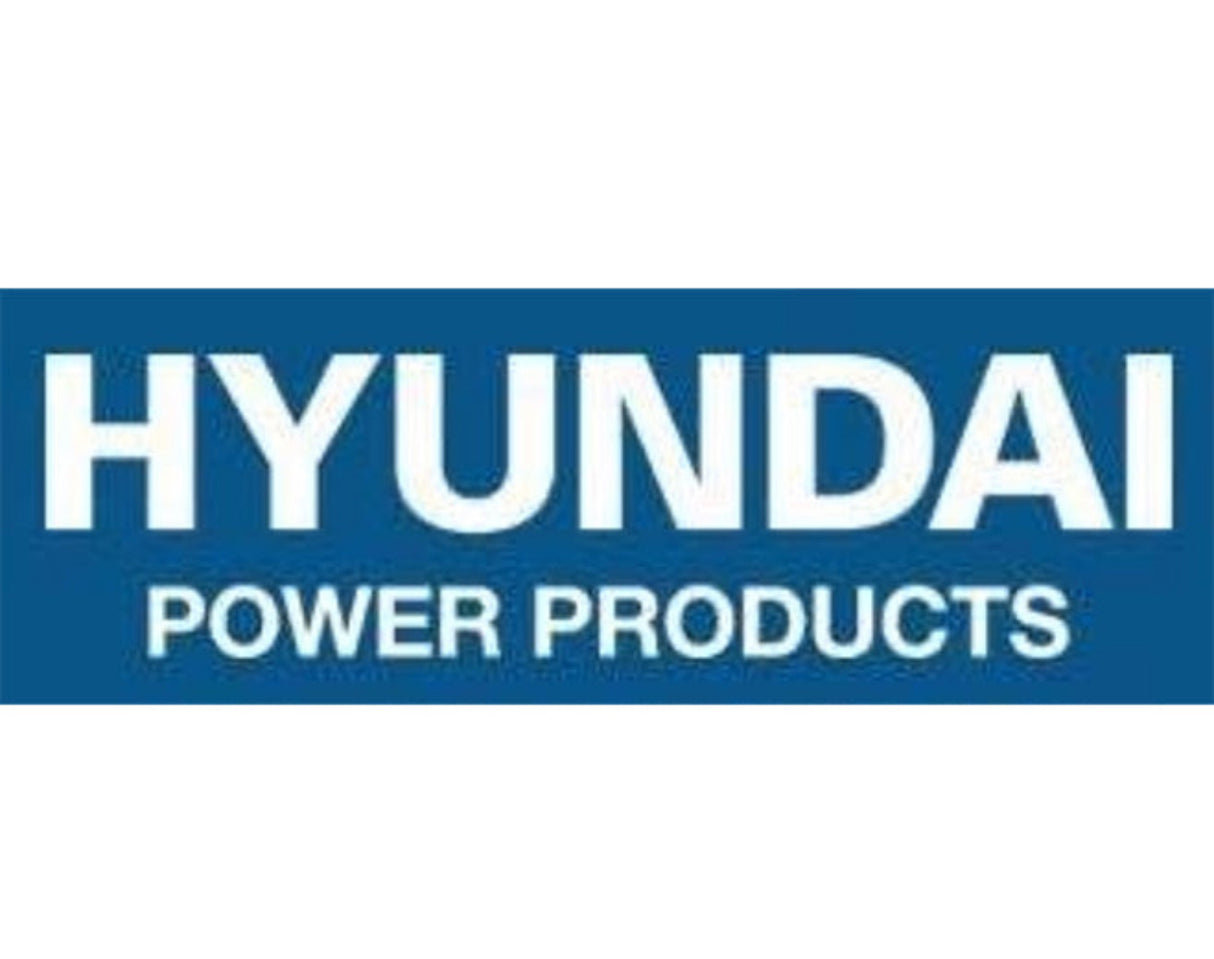 1005155 - Carburettor Assembly - Hyundai HY4500SEi Inverter Generator