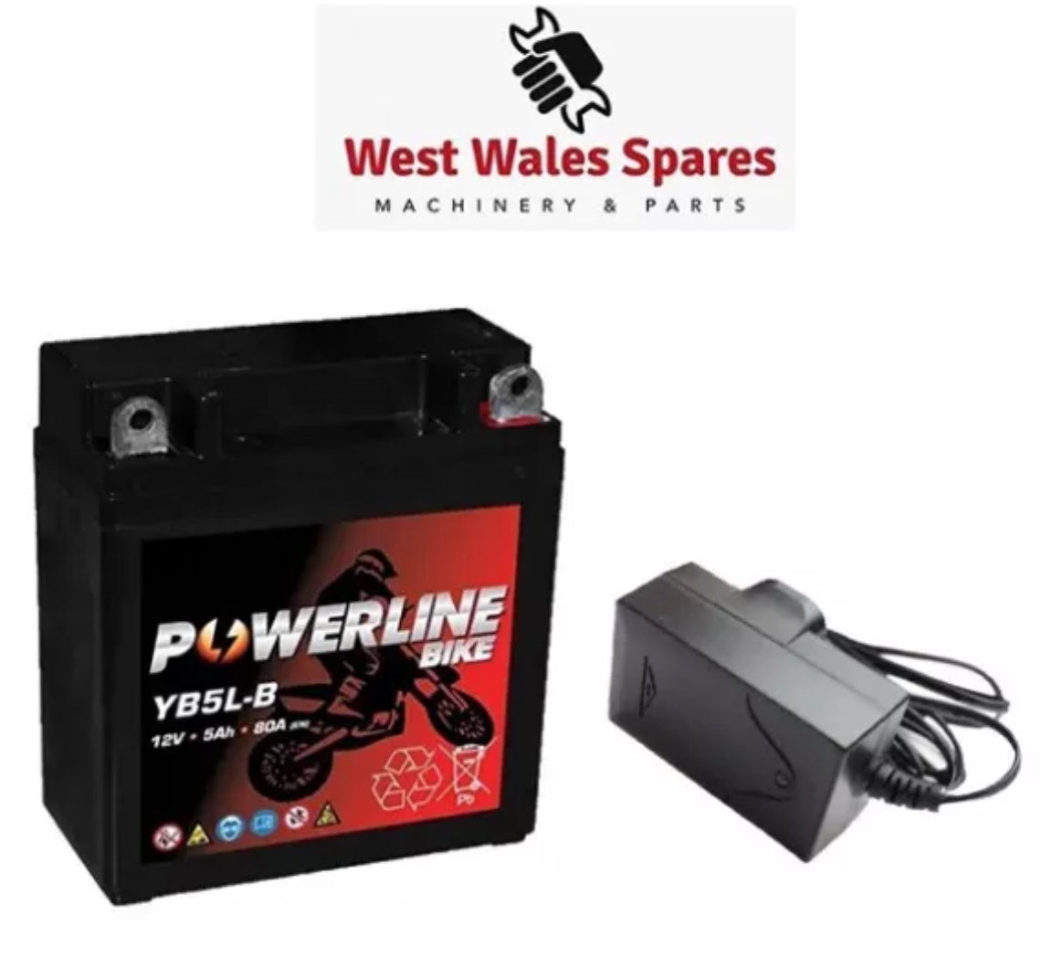 Replacement 12V Starter Battery & Charger Set - Hyundai Petrol Lawnmower