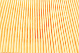 Hyundai Lawnmower Air Filter Element Y173V Y196V